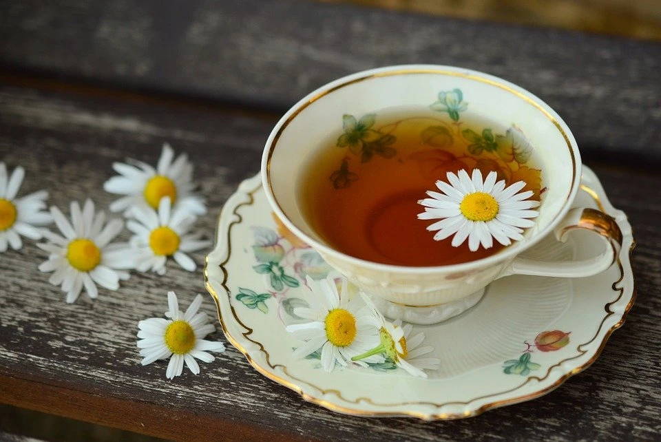 fenugreek tea