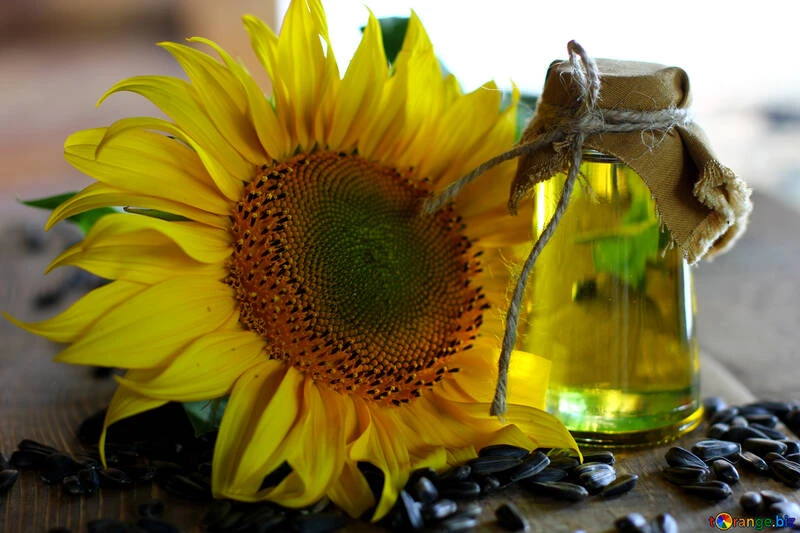 Sunflower oil refined sunflower oil sunflower № 32721